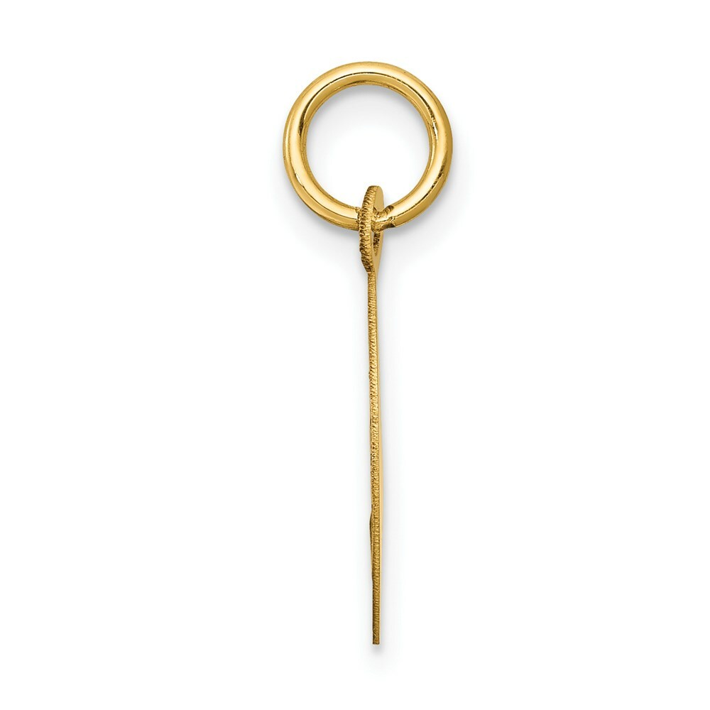 14K Yellow Gold Holy Communion Disc Charm