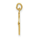 Load image into Gallery viewer, 14K Yellow Gold Holy Spirit Medal Charm
