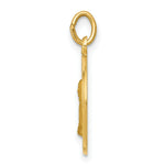Load image into Gallery viewer, 14K Yellow Gold Mother Cabrini Medal Charm
