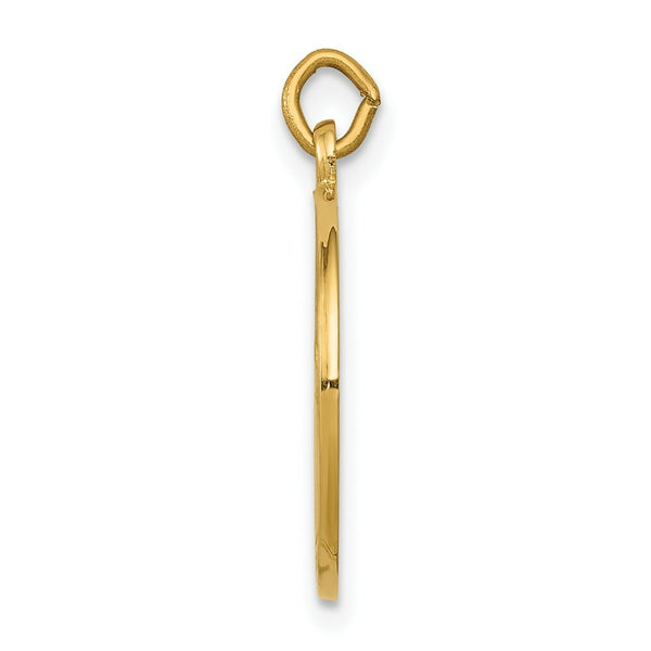 14K Yellow Gold Saint John Baptist Medal Charm 15mm width