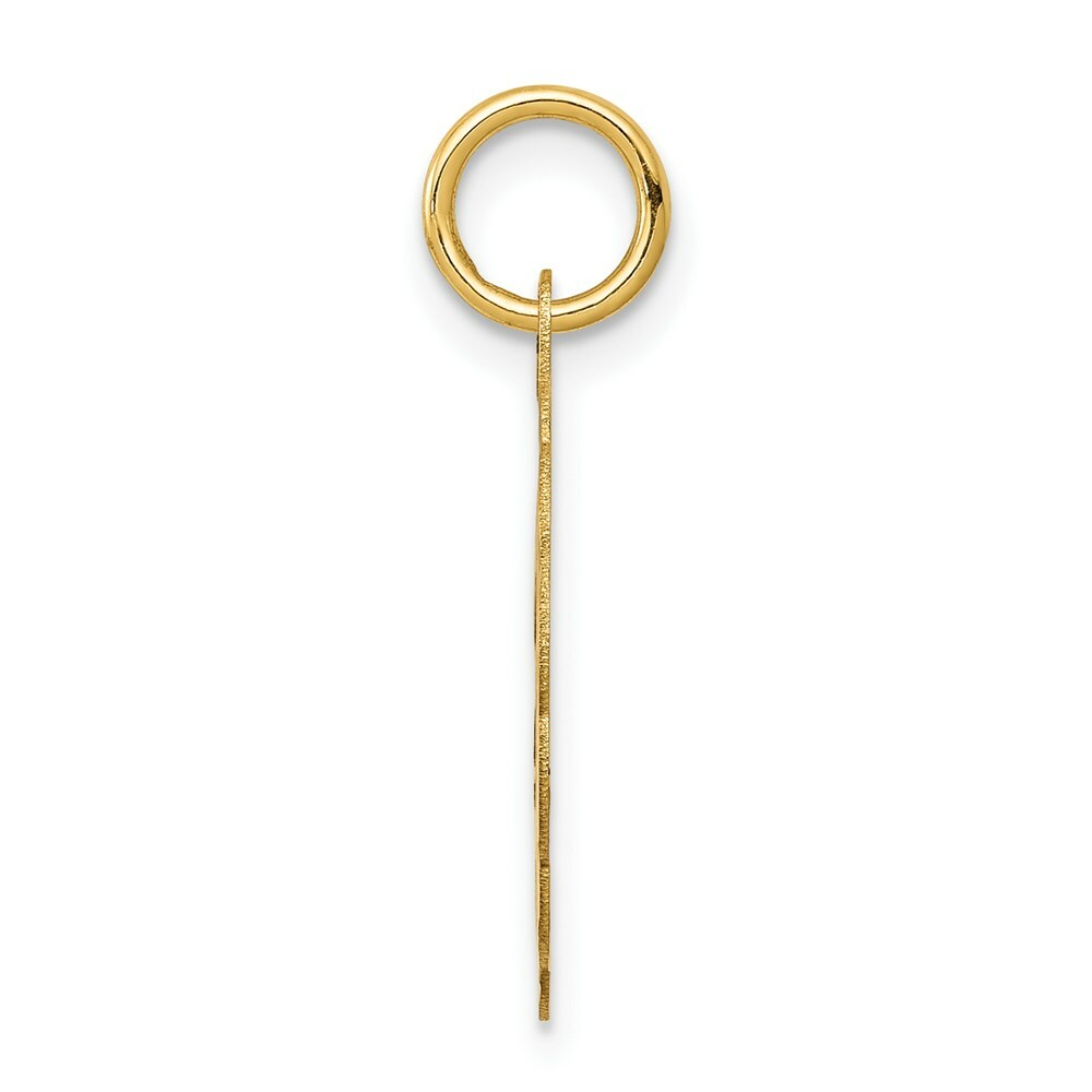 14K Yellow Gold Solid Star of David Disc Charm