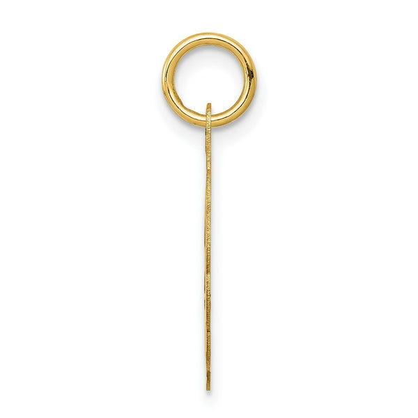 14K Yellow Gold Solid Star of David Disc Charm