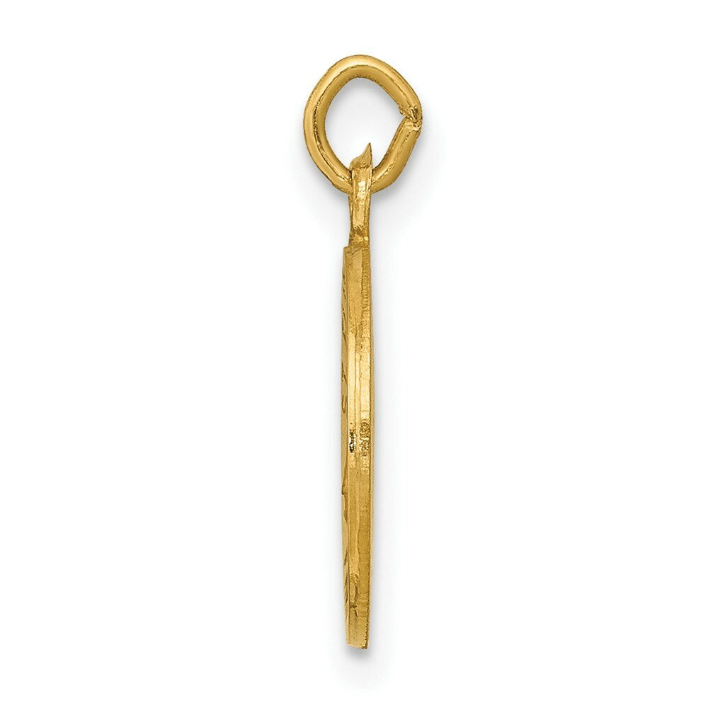 14K Yellow Gold Saint Elizabeth Seton Medal Charm 12mm width