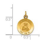 Load image into Gallery viewer, 14K Yellow Gold Saint Peter Medal Charm 12mm width
