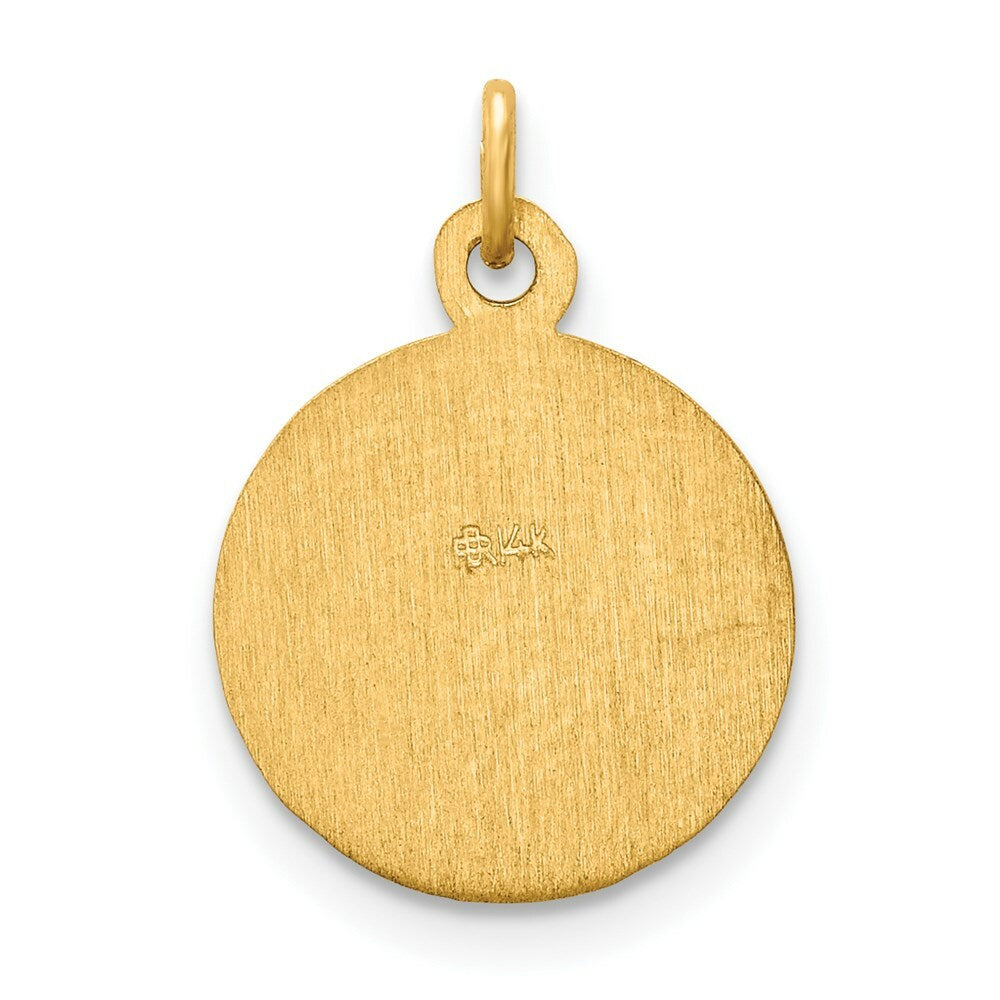 14K Yellow Gold Saint Peter Medal Charm 12mm width