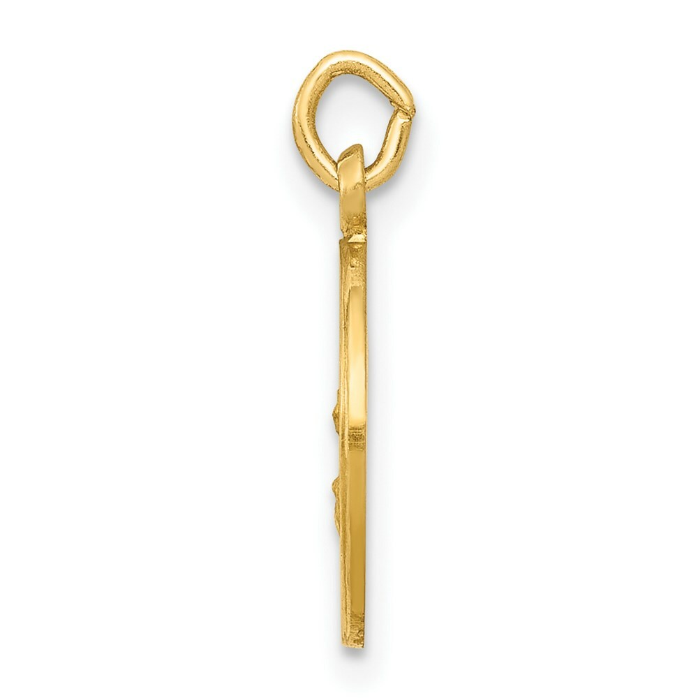 14K Yellow Gold Our Lady Of The Assumption Medal Charm 12mm width