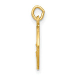 Load image into Gallery viewer, 14K Yellow Gold Our Lady Of The Assumption Medal Charm 12mm width
