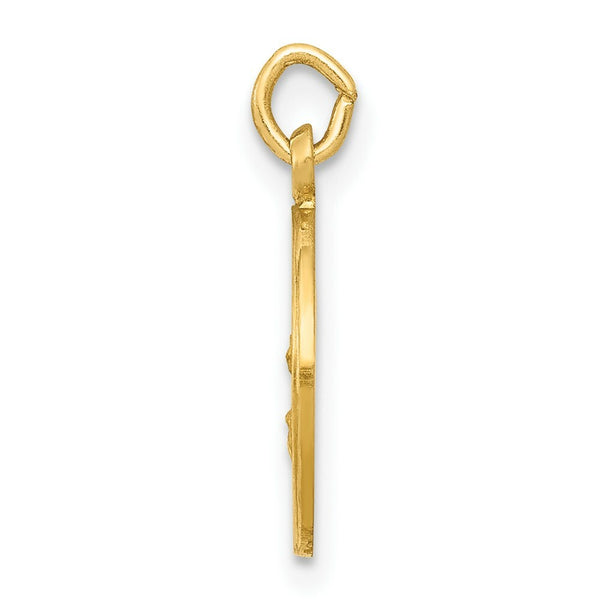 14K Yellow Gold Our Lady Of The Assumption Medal Charm 12mm width