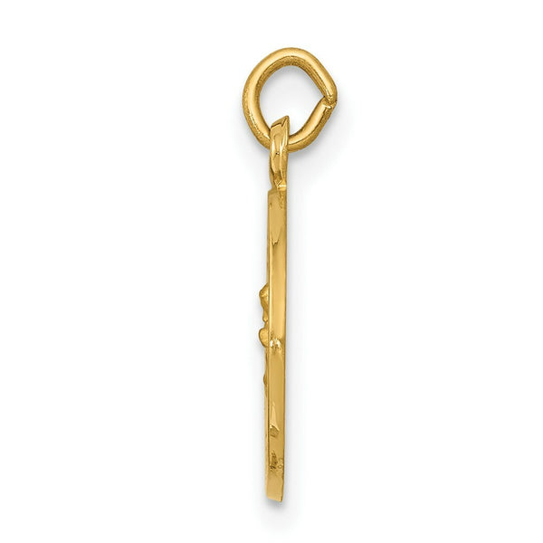 14K Yellow Gold Our Lady of Perpetual Help Medal Charm 12mm width