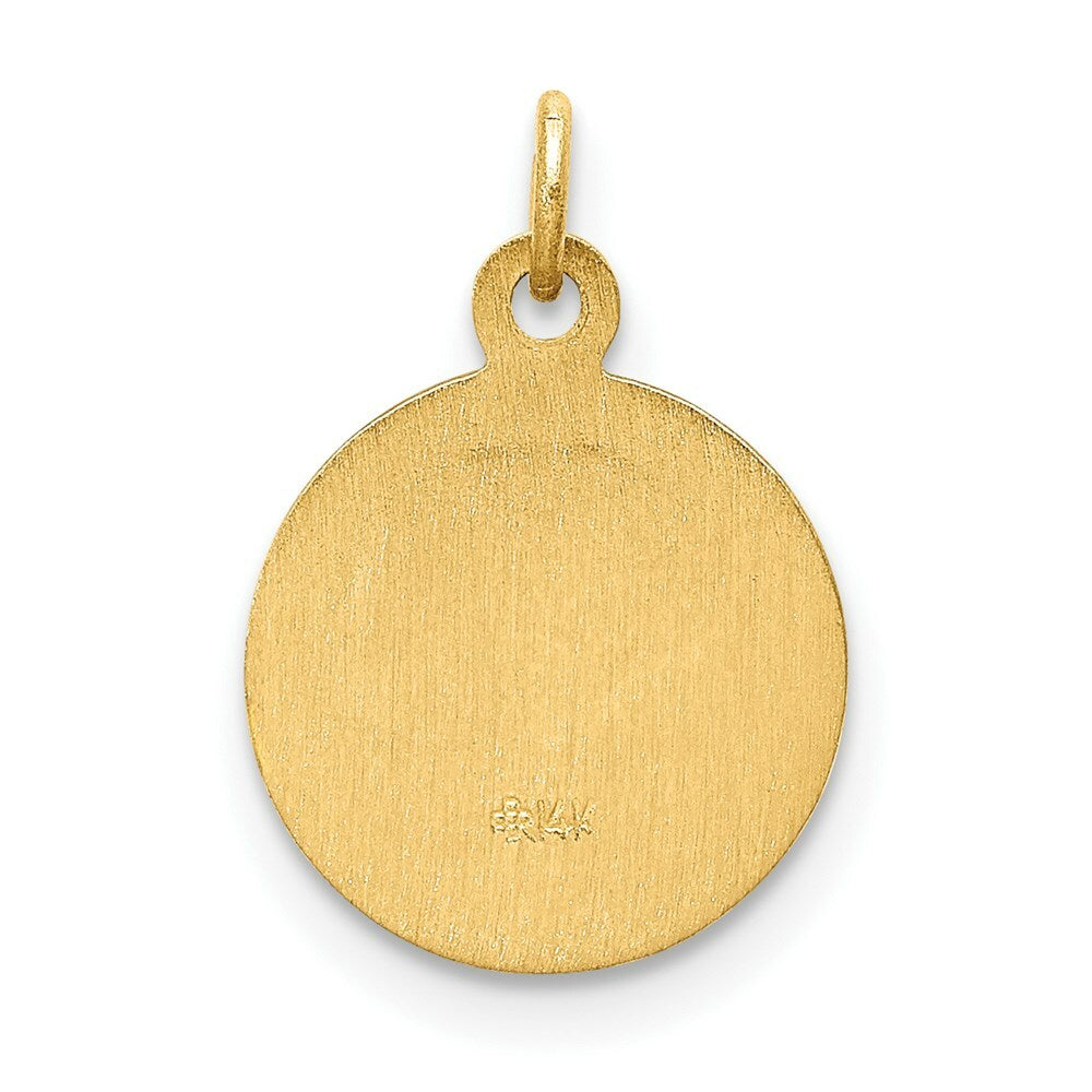 14K Yellow Gold Our Lady of Lourdes Medal Charm 12mm width