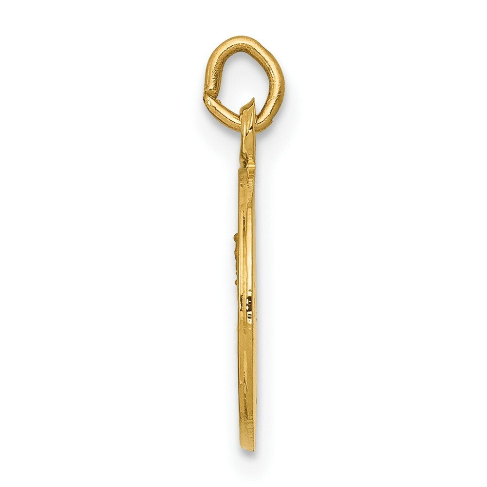 14K Yellow Gold Our Lady of Mt. Carmel Medal Charm 12mm width