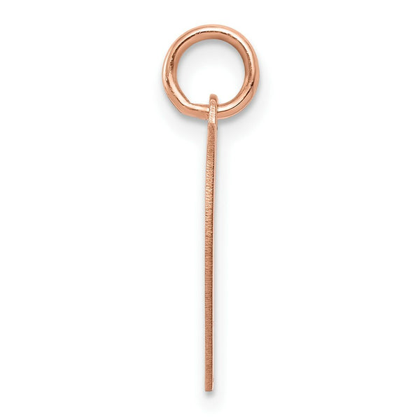 14K Rose Gold Heart Disc Charm