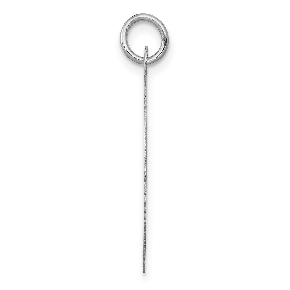 14K White Gold Round Disc Charm 22mm width