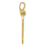 Load image into Gallery viewer, 14K Yellow Gold Yellow Gold Polished Key Pendant
