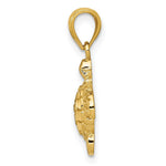 Load image into Gallery viewer, 14K Yellow Gold Polished &amp; Textured Small DC Turtle Pendant
