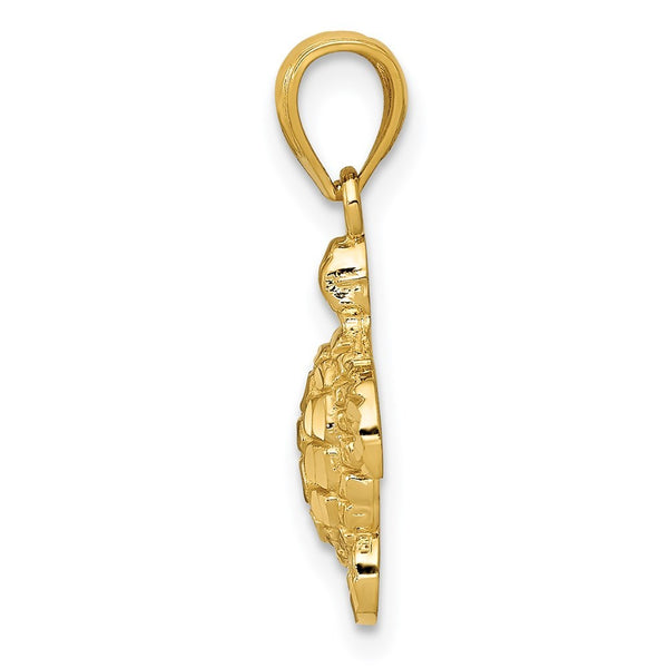 14K Yellow Gold Polished & Textured Small DC Turtle Pendant