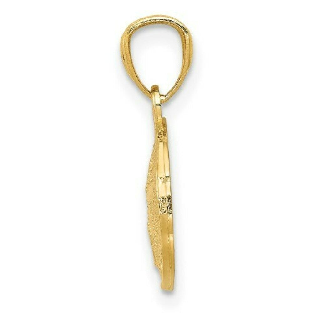 14K Yellow Gold Polished & Textured Sand Dollar Pendant
