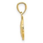 Load image into Gallery viewer, 14K Yellow Gold Polished &amp; Textured Sand Dollar Pendant
