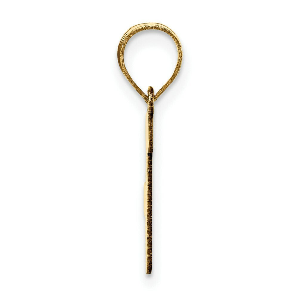 14K Yellow Gold Polished Script Letter F Initial Pendant