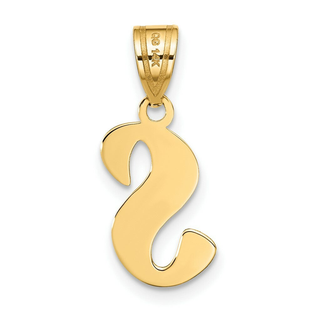 14K Yellow Gold Polished Script Letter S Initial Pendant