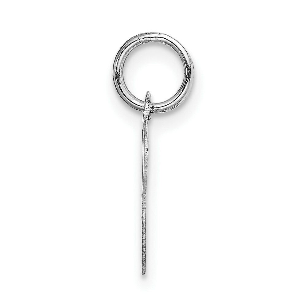 14K White Gold Small Fancy Script Initial Letter P Charm Pendant