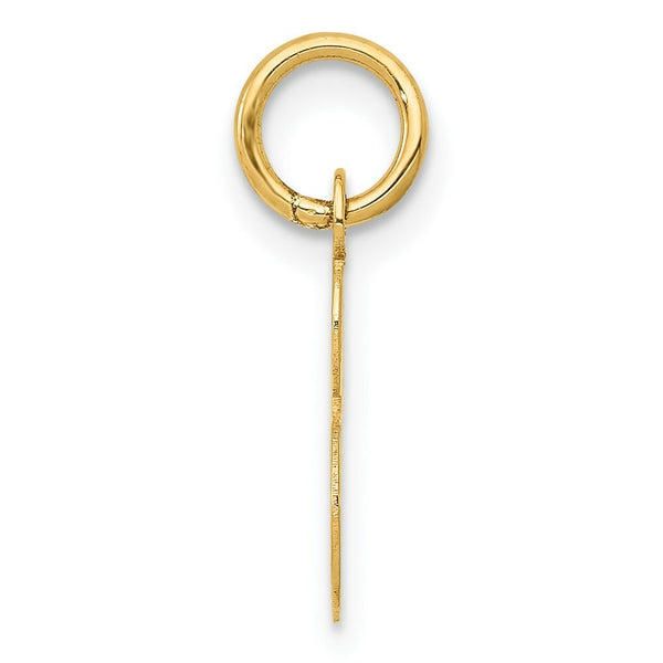 14K Yellow Gold Small Script Initial Letter S Charm Pendant