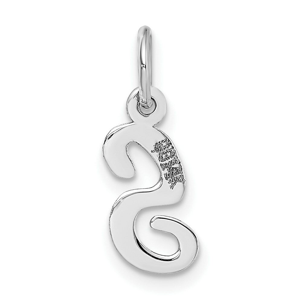 14K White Gold Small Script Initial Letter S Charm Pendant